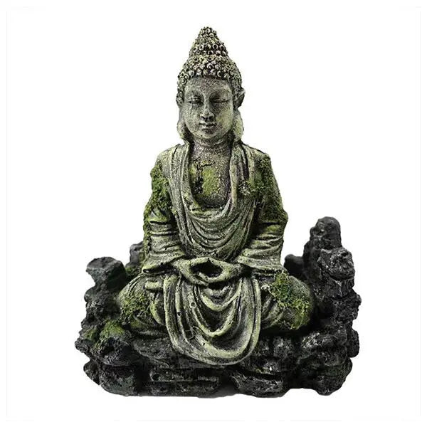 statue-bouddha-aquarium