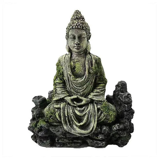 statue-bouddha-aquarium